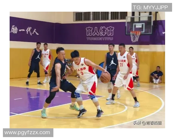 西安篮球队篮球意识创新高引发热议助力球队崛起