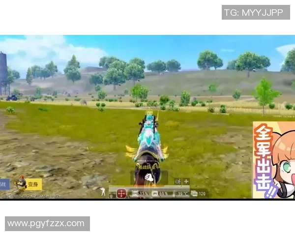 吴丽专访：从新手到高手的和平精英成长之路回顾与展望